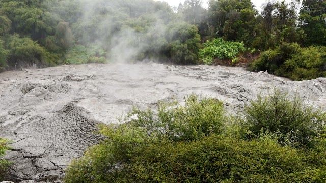 Te Puia Pohutu Geyser